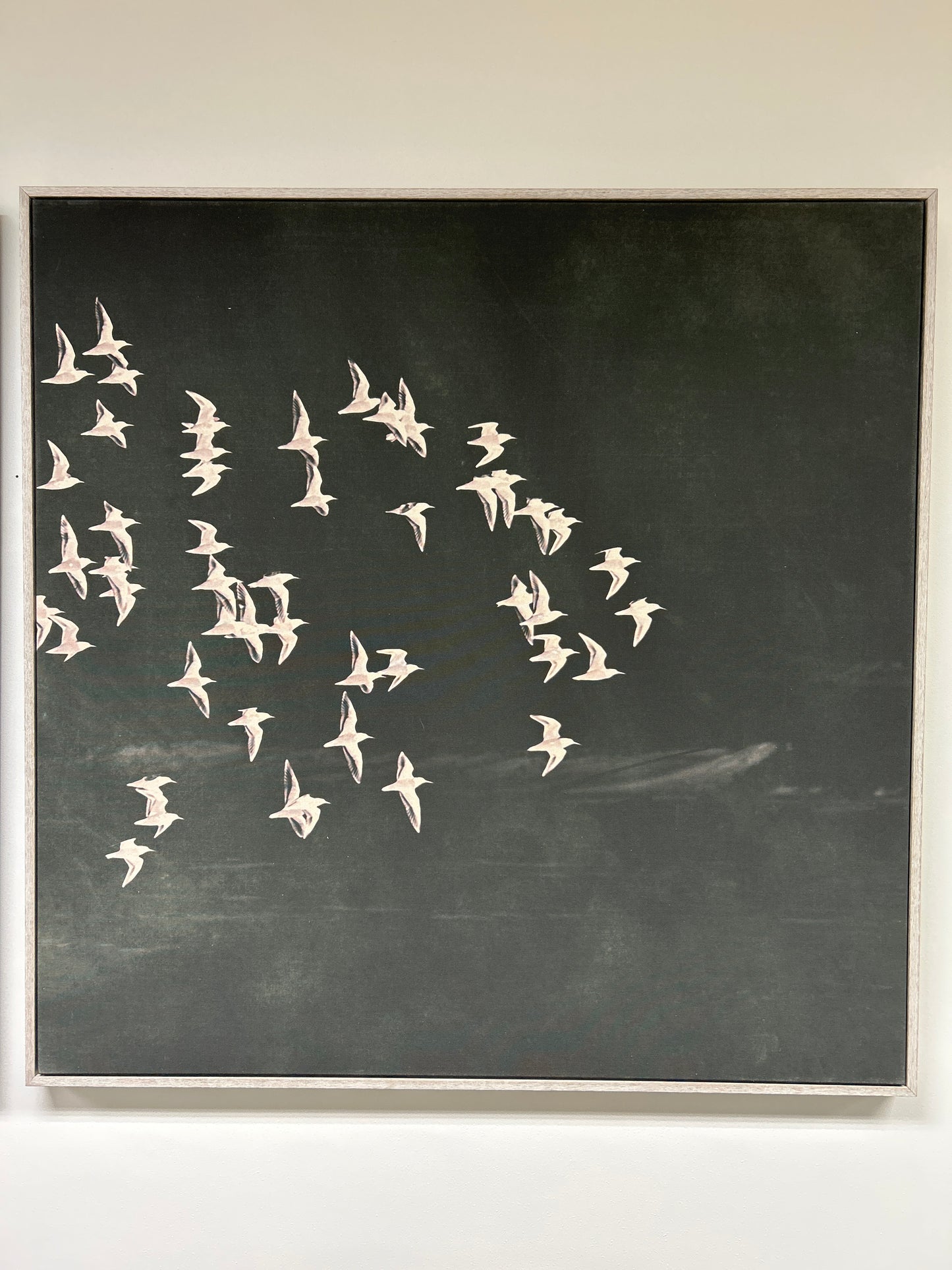 Birds 2