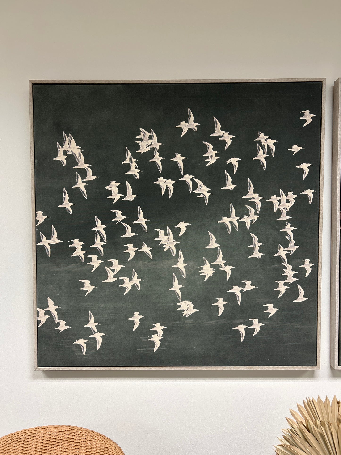 Birds 1