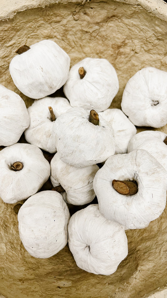 DRIED MINIATURE FAUX PUMPKINS - WHITE