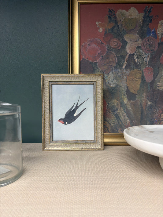 Swallow Boraston
