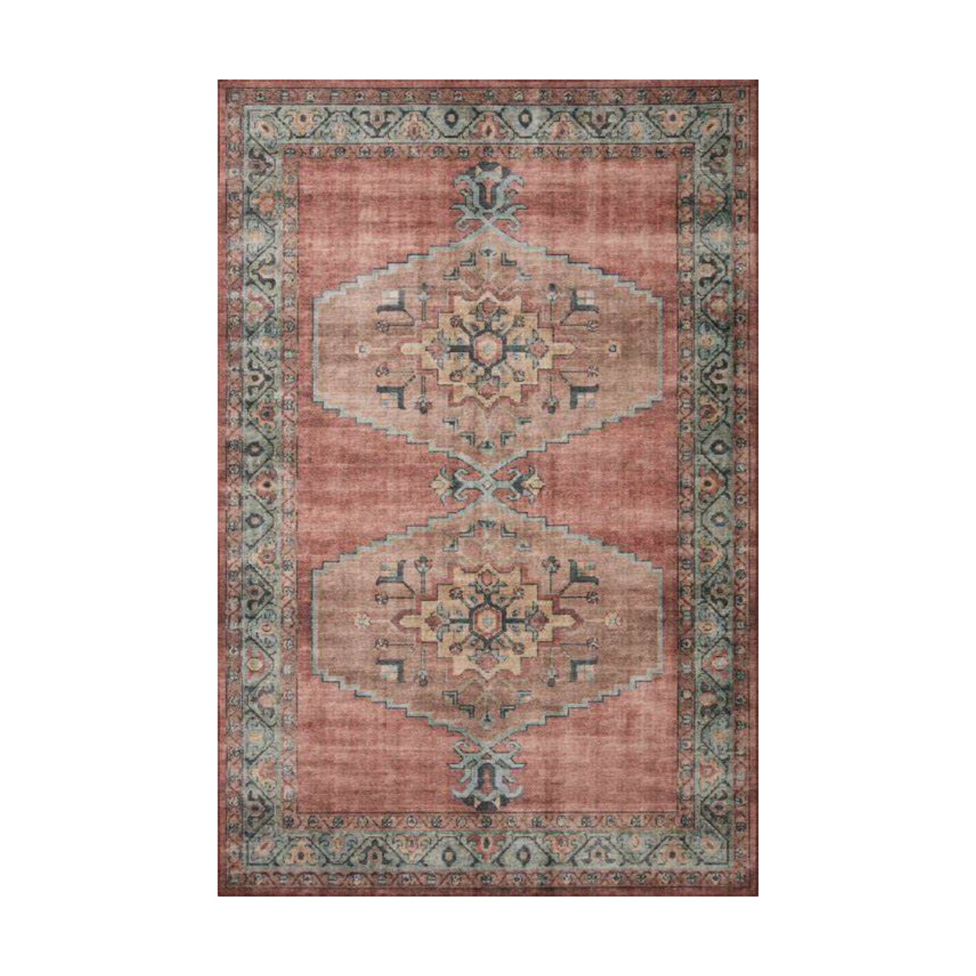 Heidi Spice Aqua Area Rug