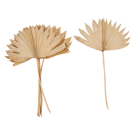 Dried Natural Palm Bunch, Spear Cut